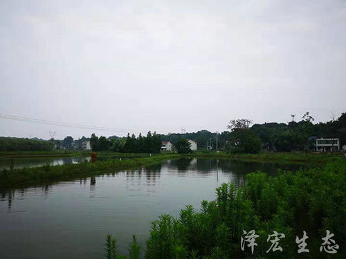 基地面貌 (6)