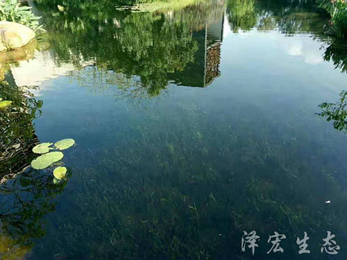 深圳某項目
