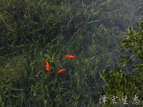 深圳某項(xiàng)目