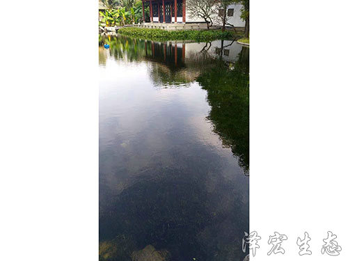 順德某公園項目