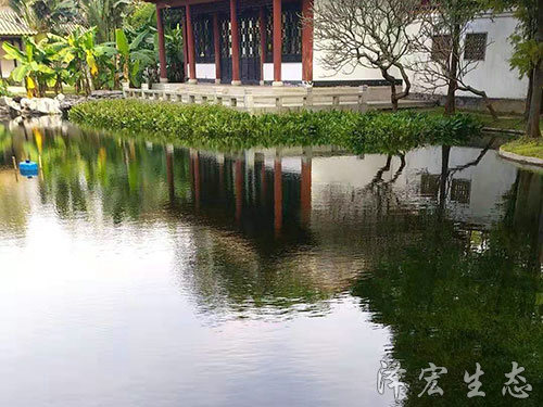 順德某公園項目