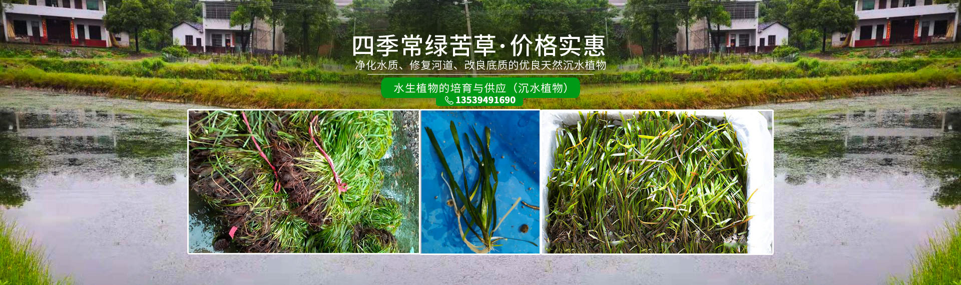 湖南澤宏生態(tài)科技有限公司_長(zhǎng)沙水環(huán)境流域生態(tài)治理|長(zhǎng)沙水污染防治|長(zhǎng)沙水體生態(tài)修復(fù)