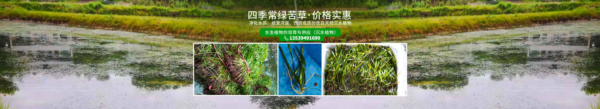 湖南澤宏生態(tài)科技有限公司_長沙水環(huán)境流域生態(tài)治理|長沙水污染防治|長沙水體生態(tài)修復(fù)